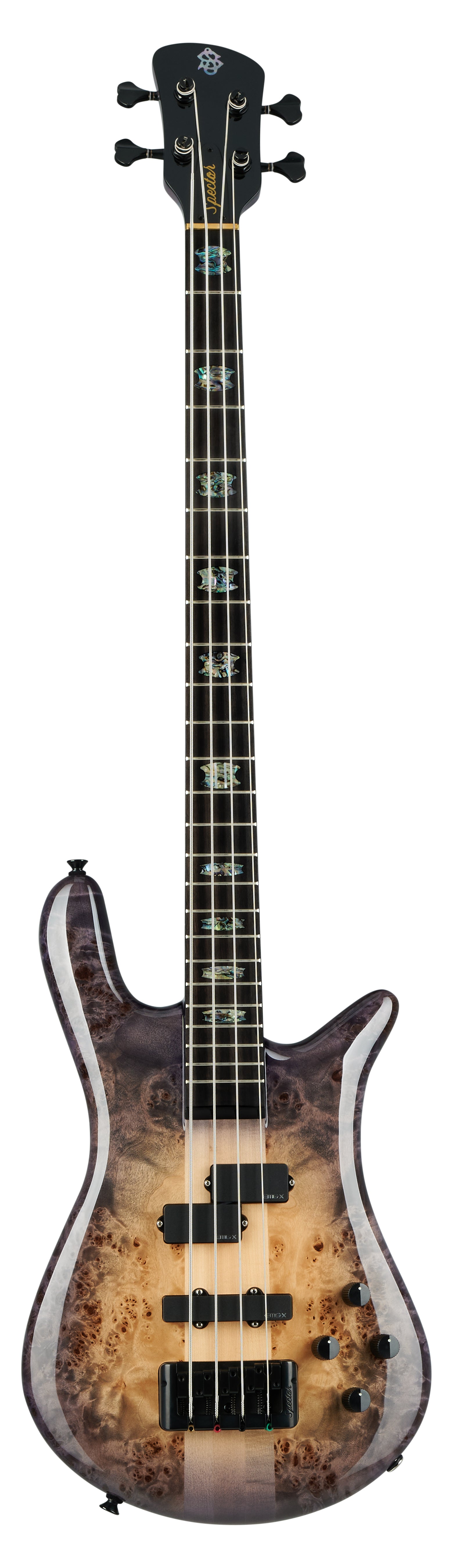 SPECTOR EURO 4LX / Magenta Gloss / Plemium Wood 29%OFF
