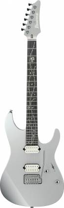 Ibanez TIM HENSON Signature Electric Guitar (Classic Silver)