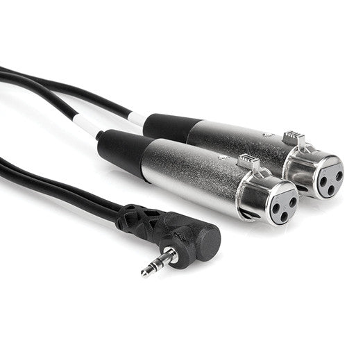 Hosa CYX-402F Stereo Mini Angled Male to Two 3-Pin XLR Female Y-Cable - 2'