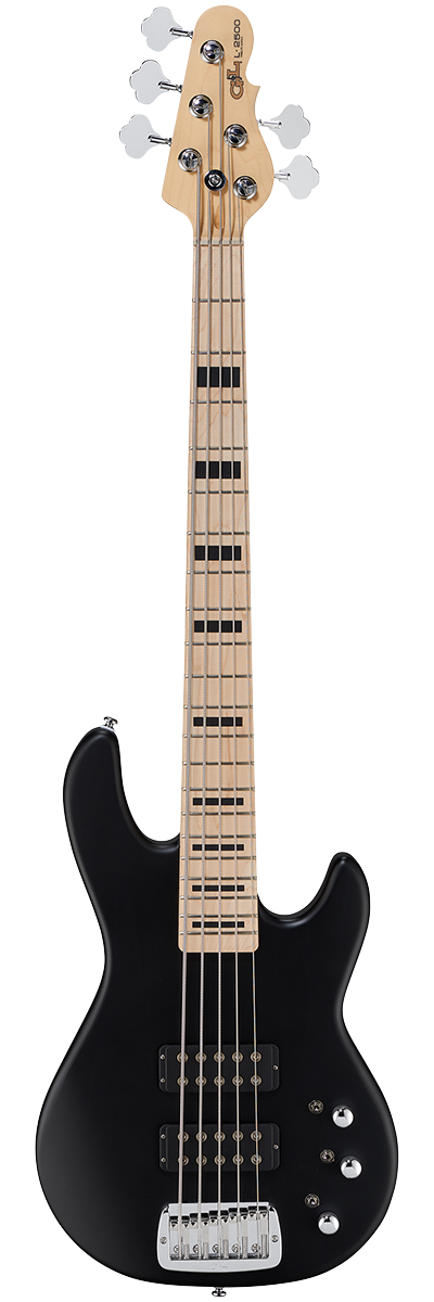 G&L Tribute Series L-2500 - Black Frost