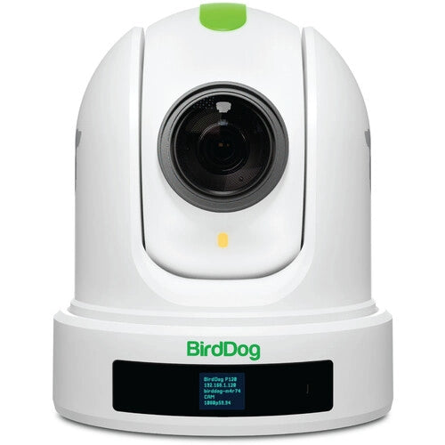 BirdDog BDP120W 1080p Full NDI PTZ Camera - White