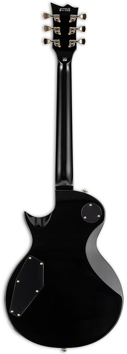 ESP LTD ECLIPSE EC-256 Electric Guitar (Black)