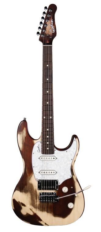 Godin Guitars SESSION T-PRO Limited Edition Electric Guitar ( Kanyon Burst Hangover RN)