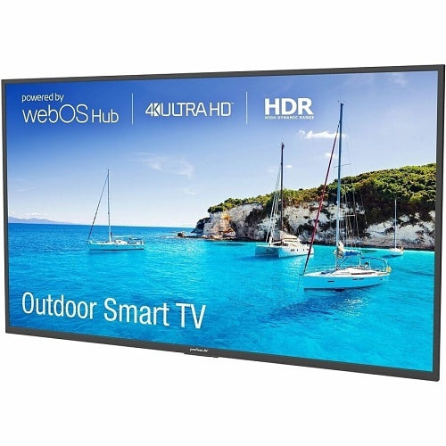 Peerless-AV NT554 Full Sun Outdoor Smart TV - 55"