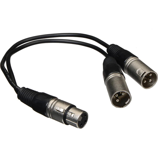 Liaison audio AA11Y XLR-F vers câble Y 2x XLR-M