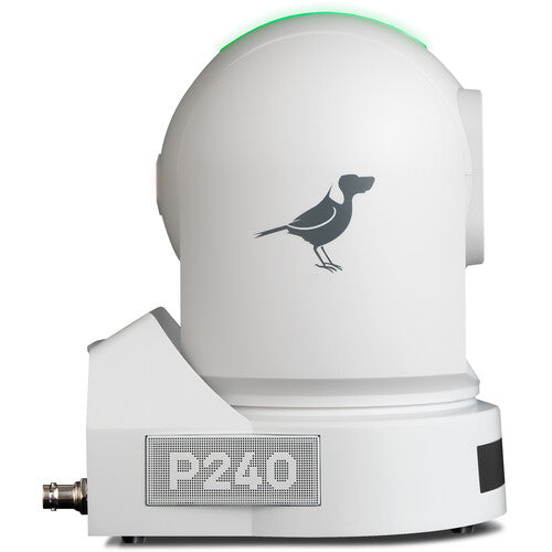 Birddog BDP240Bundle-WWW P240 40X Full NDI PTZ 3 caméra (blanc)