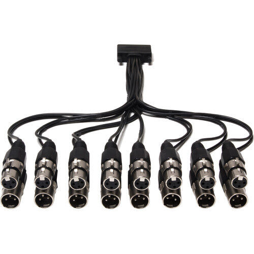 Marian XLR CABLE FOR SERAPH 8, AD8 8 Analog I/O Breakout Cable for Seraph 8, AD8 (XLR Connectors)