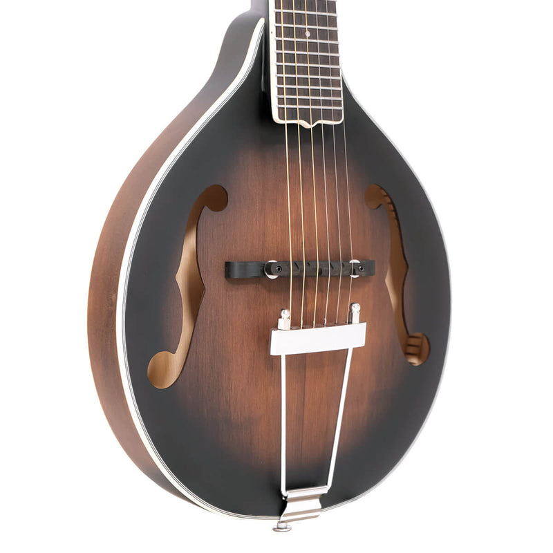 Gold Tone A-6 A-Style Mando-Guitar (Tobacco Sunburst Satin)