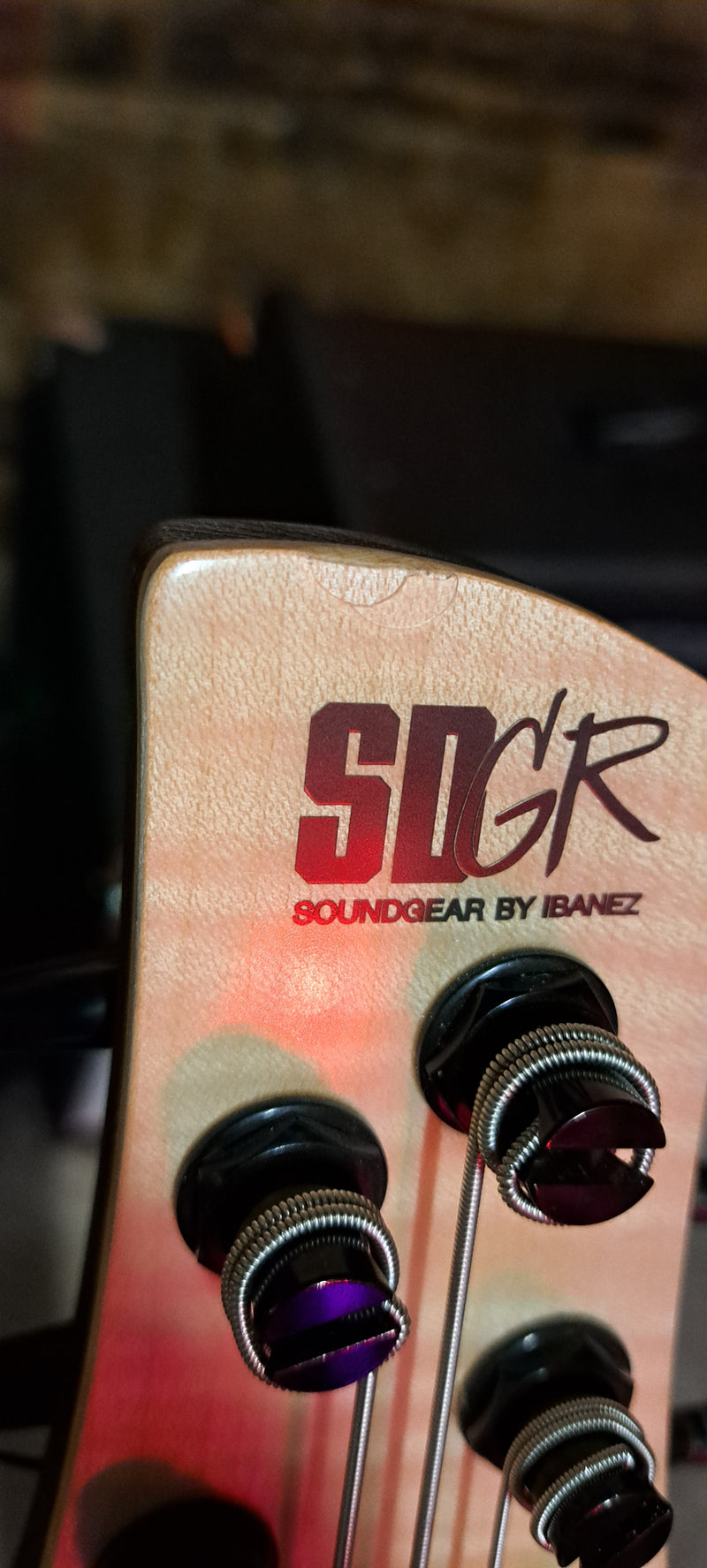 Ibanez Premium SR5FMDX2 5-string Bass Guitar (Natural Low Gloss) (DEMO)