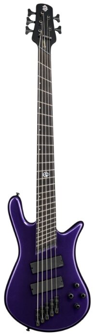 Spector NSDM5PL NS Dimension 5-Strings Electric Bass Guitar (Plum Gloss)