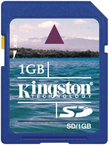 Kingston SD Memory Card - 1 GB