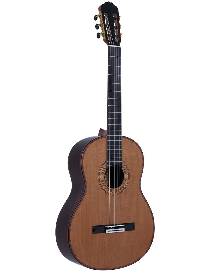 Tagima CF-800 Guitare acoustique classique non pan coupé en nylon (cèdre foncé brillant)