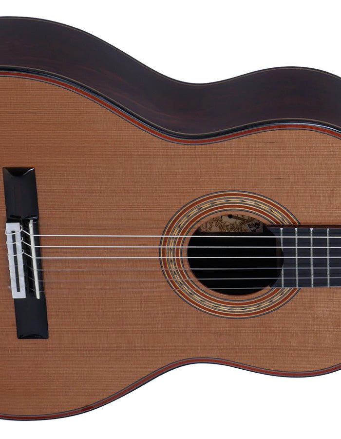 Tagima CF-800 Classical Non-Cutaway Acoustic Guitar Nylon (Gloss Dark Cedar)