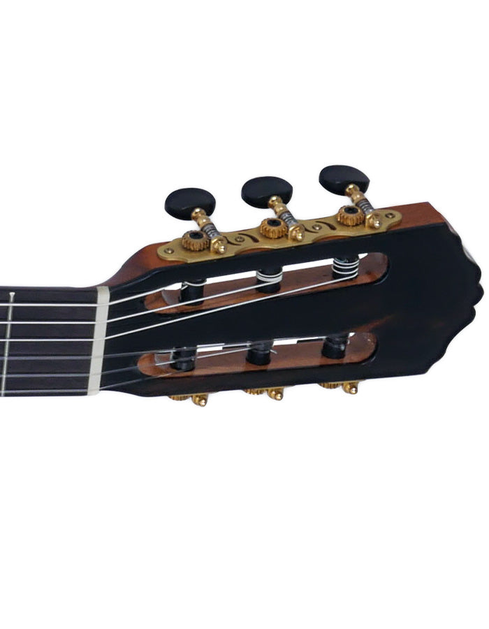 Tagima CF-800 Guitare acoustique classique non pan coupé en nylon (cèdre foncé brillant)