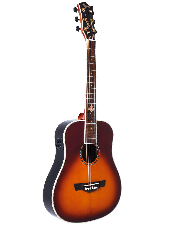 Tagima FERNIE Steel Baby Non-Cutaway Acoustic Guitar (Gloss Cherry Burst)