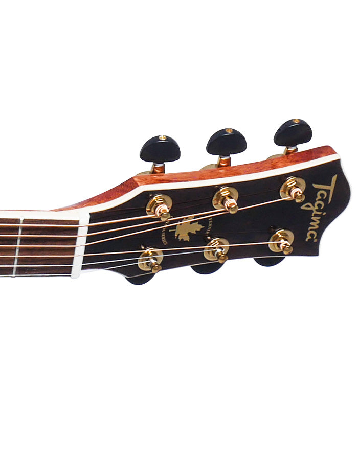 Tagima FERNIE Steel Baby Non-Cutaway Acoustic Guitar (Gloss Cherry Burst)