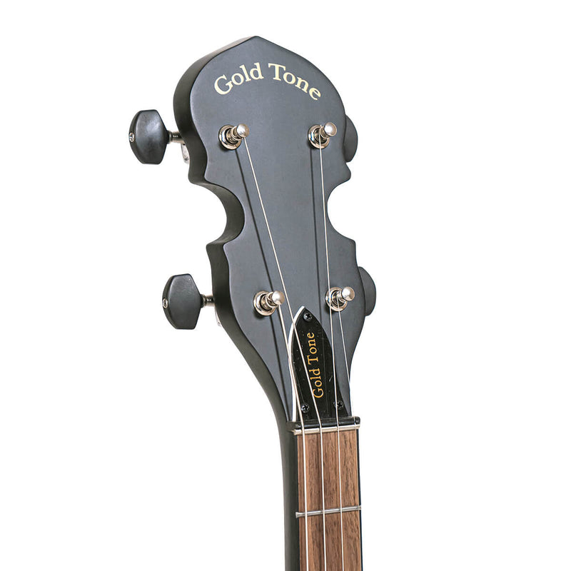 Banjo ténor à dos ouvert à 4 cordes en composite acoustique AC-4 doré