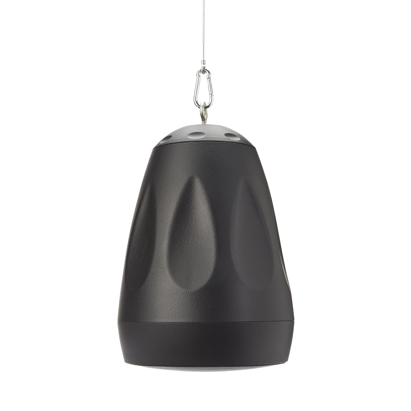 Cloud Electronics CVS-P42TB Pendant Speaker (Black) - 4.5"