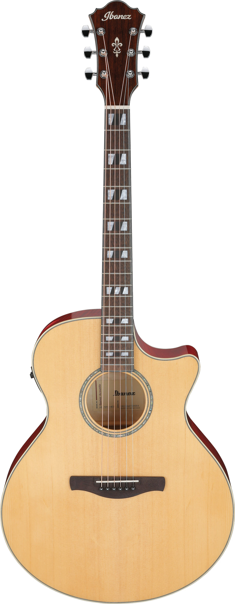 Ibanez AE170NTR Acoustic Electric Guitar (Natural High Gloss)