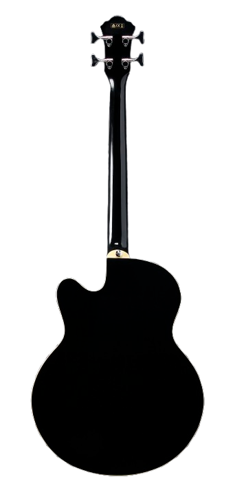 Ibanez AEB5EBK Acoustic Bass Guitar (Black High Gloss)