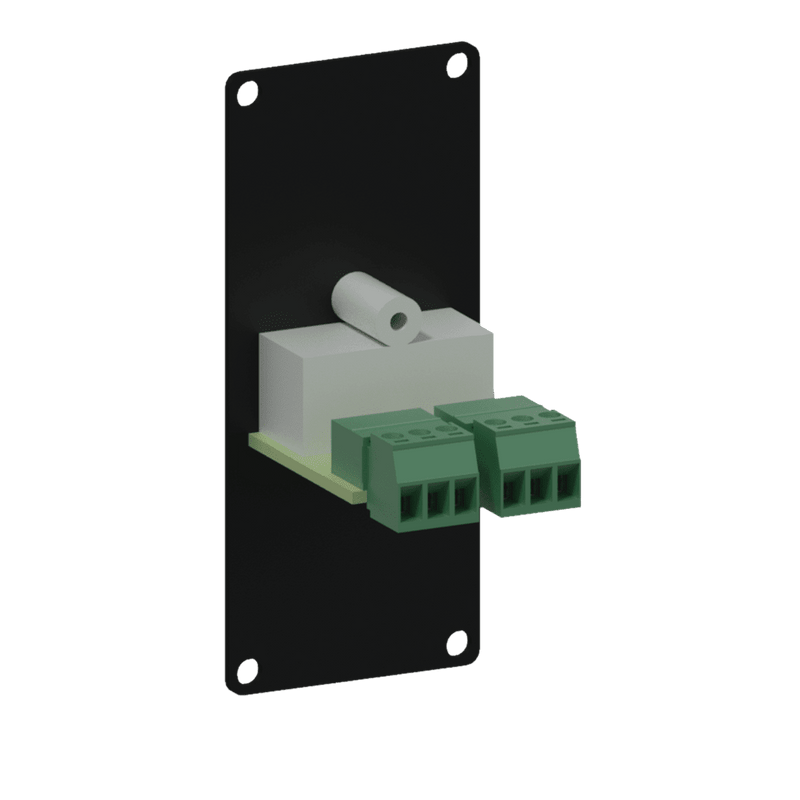 Caymon CASY132/B 2 RCA to 2 Pin Terminal Input Plate