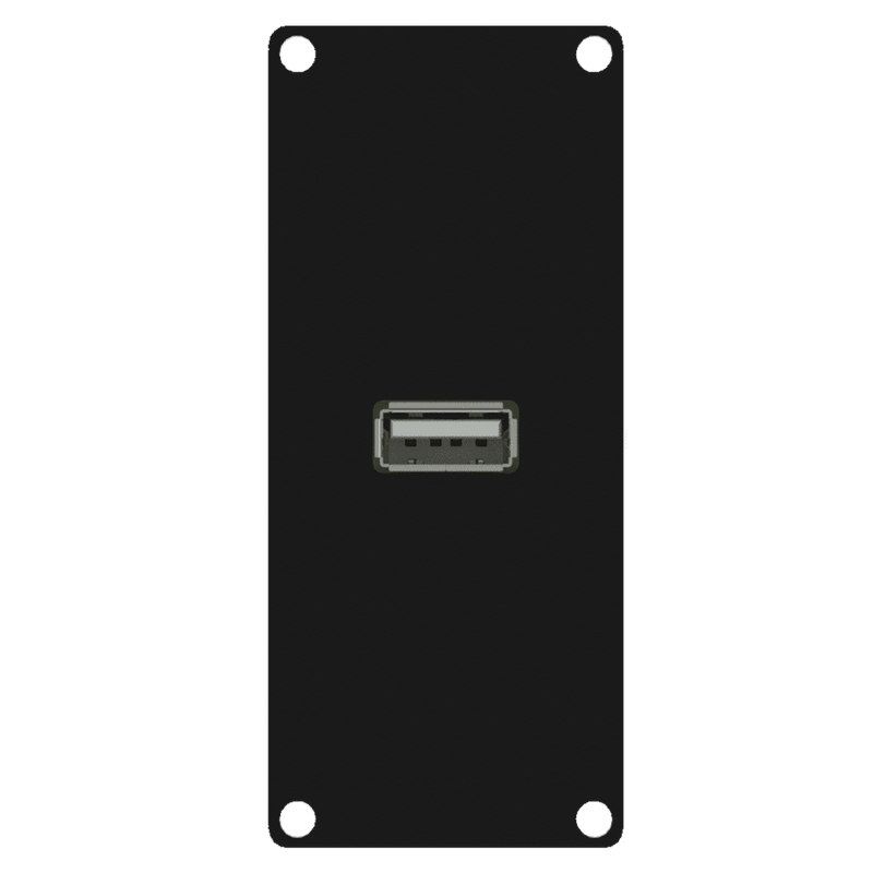 Caymon CASY161/B USB 2.0 Input Plate