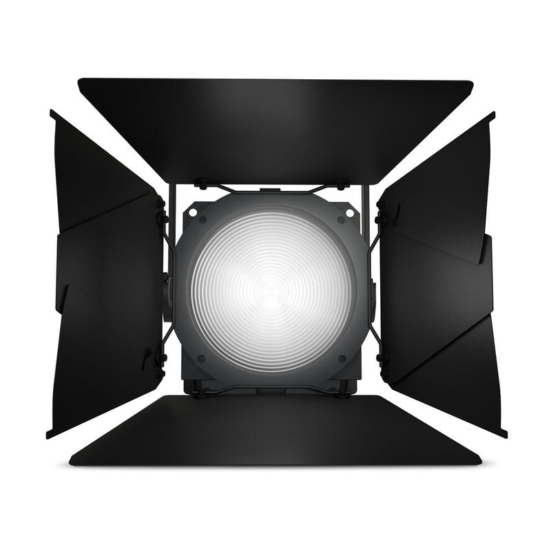 Theatrixx CLF2D Professional Fresnel White Daylight - Includes Barndoor and Gel Frame