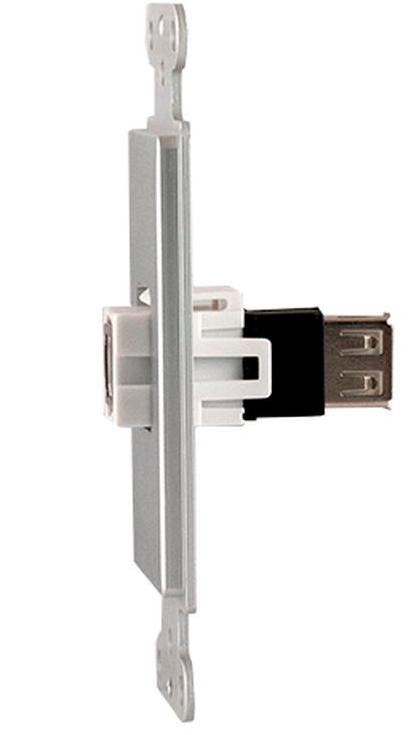 Covid D1127F-CA Keystone USB-2-BA Plaque murale (anodisé transparent)