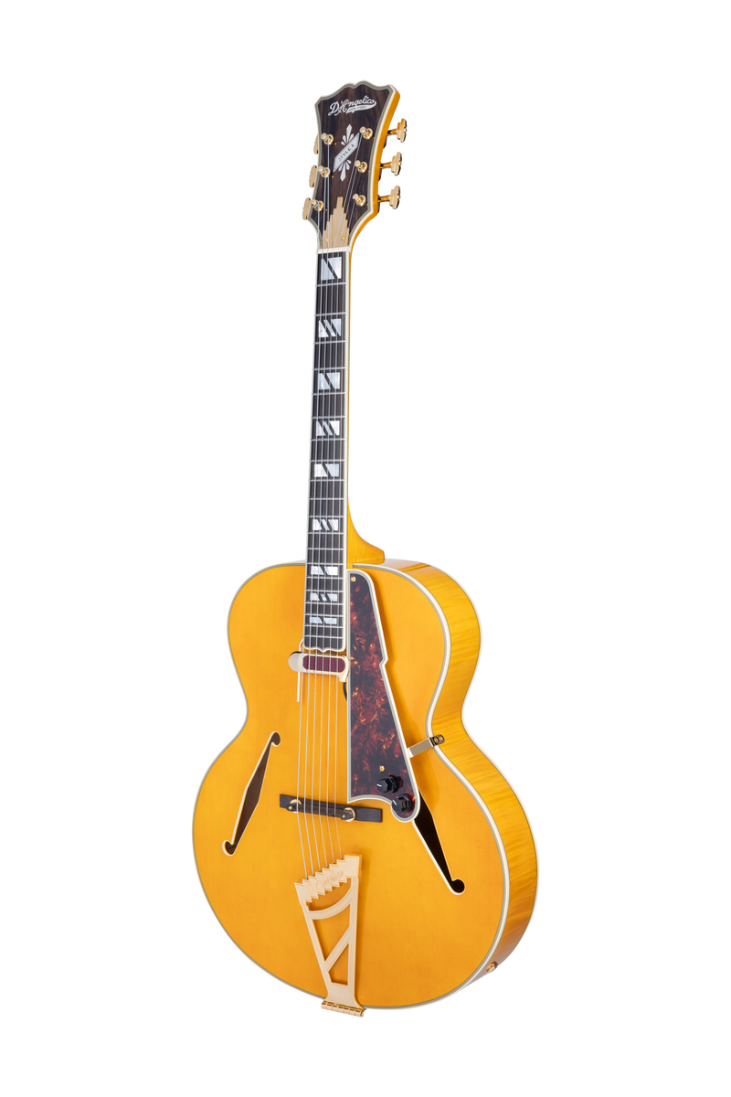 D'Angelico EXCEL STYLE B Hollow Body Electric Guitar (Amber)