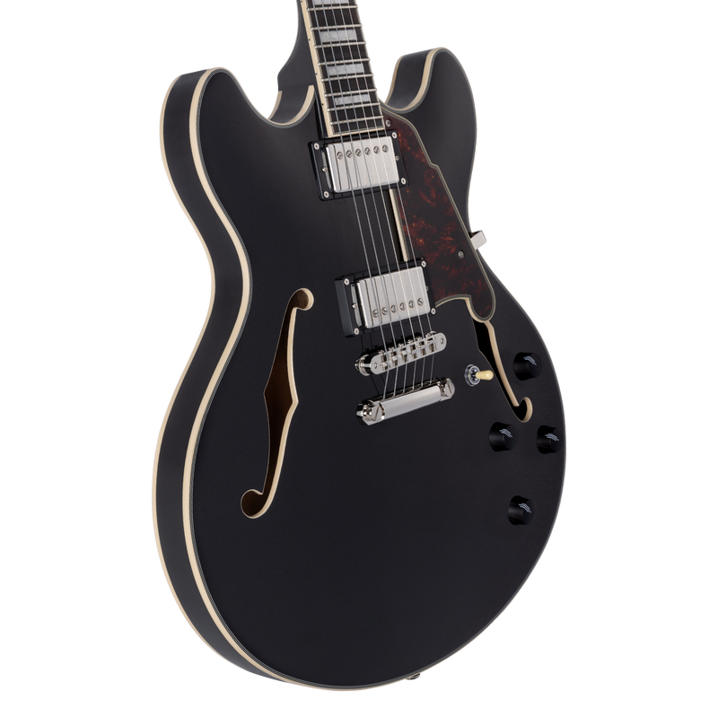 D'Angelico DAPDCBLF2NS Guitare électrique semi-creuse (Flake noir)