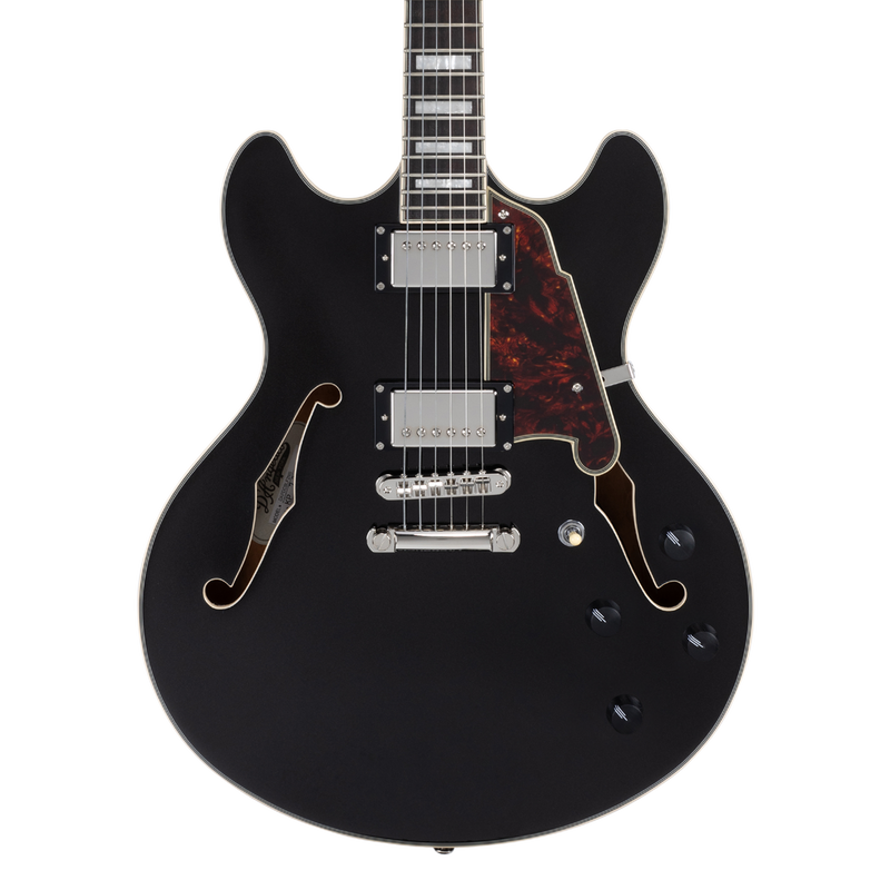 D'Angelico DAPDCBLF2NS Guitare électrique semi-creuse (Flake noir)