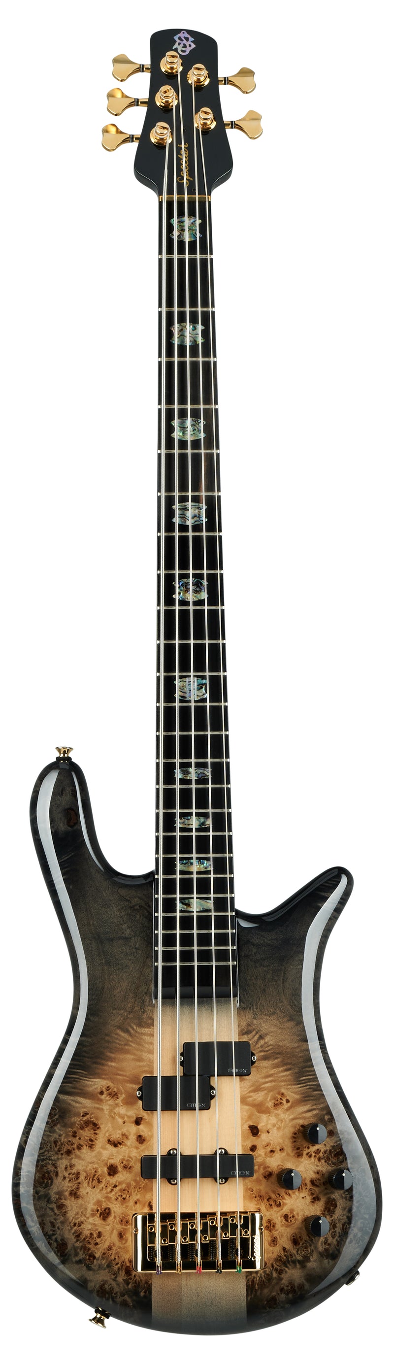 Spector Euro CST 5 cordes de basse électrique (brillance noire naturelle)