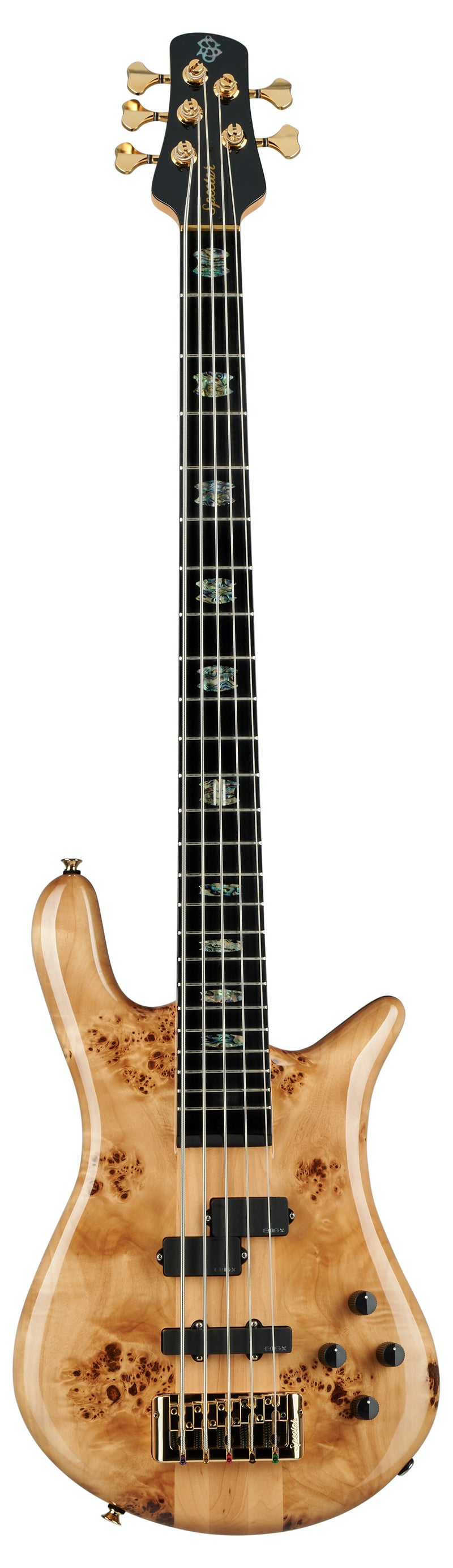 Spector Euro CST 5 cordes de basse électrique (brillant naturel)