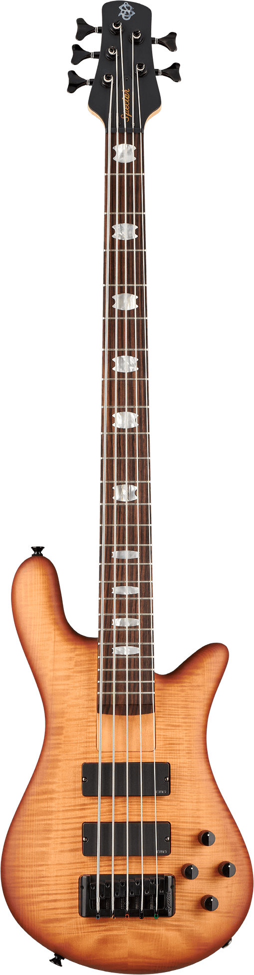 Spector Euro 5 LX Bolt-on 5 cordes Guitare de basse électrique (Natural Sunburst)