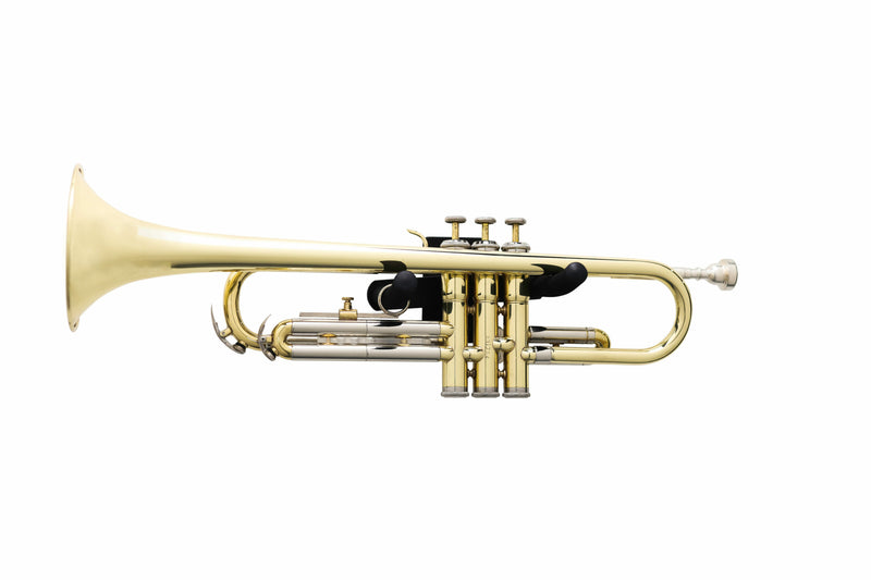 Gator GFW-TRUMPETHNGR-H-BLK Horizontal Wall Hanger For Trumpet