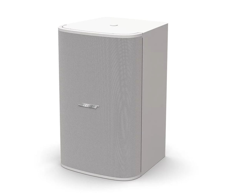 Bose DM10S-SUB Passive Subwoofer (White) - 10"