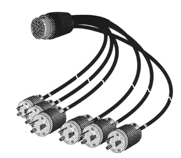 Digiflex LPP-PTL520-1203-6 Multiconducteur mâle vers 6x Twist-Lock femelle 12 AWG - 6 pieds