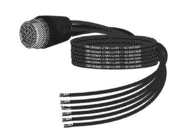 Digiflex LPP-BP-1203-6 Multi-Conductor Male to Bare Wire 12 AWG - 9 Foot