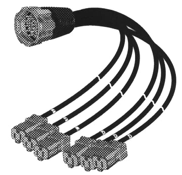 Digiflex LSS-SU-1403-6 Socapex Male to 6x U Ground Female 14 AWG - 6 Foot