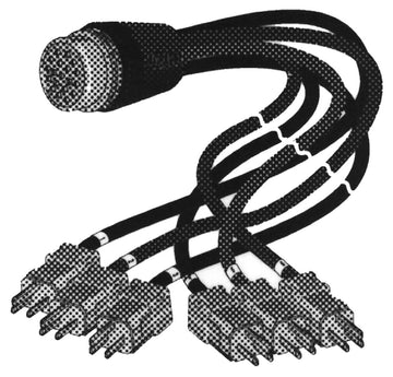 Digiflex LSS-US-1403-6 SOCAPEX femelle à 6x u sol 14 AWG - 6 pieds