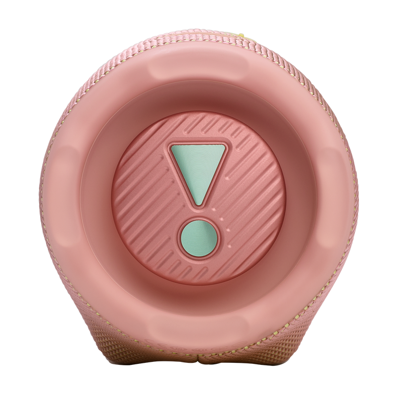 JBL CHARGE 6 Portable Waterproof And Drop-Proof Speaker (Pink)