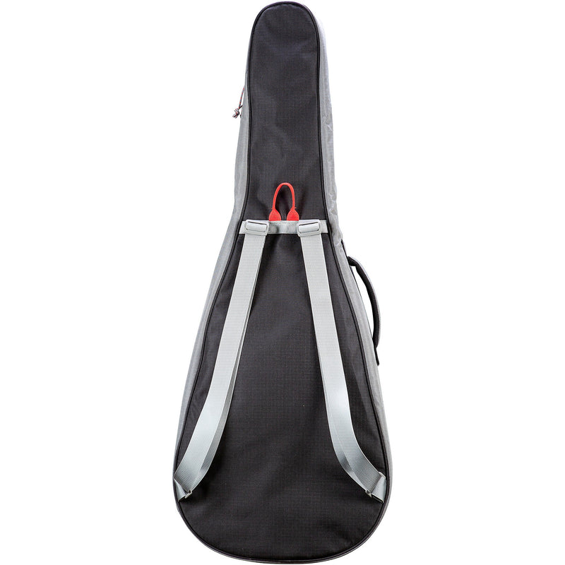 Breedlove BL-GIG-COB34 Concerto 34" Scale Bass Gig Bag Standard