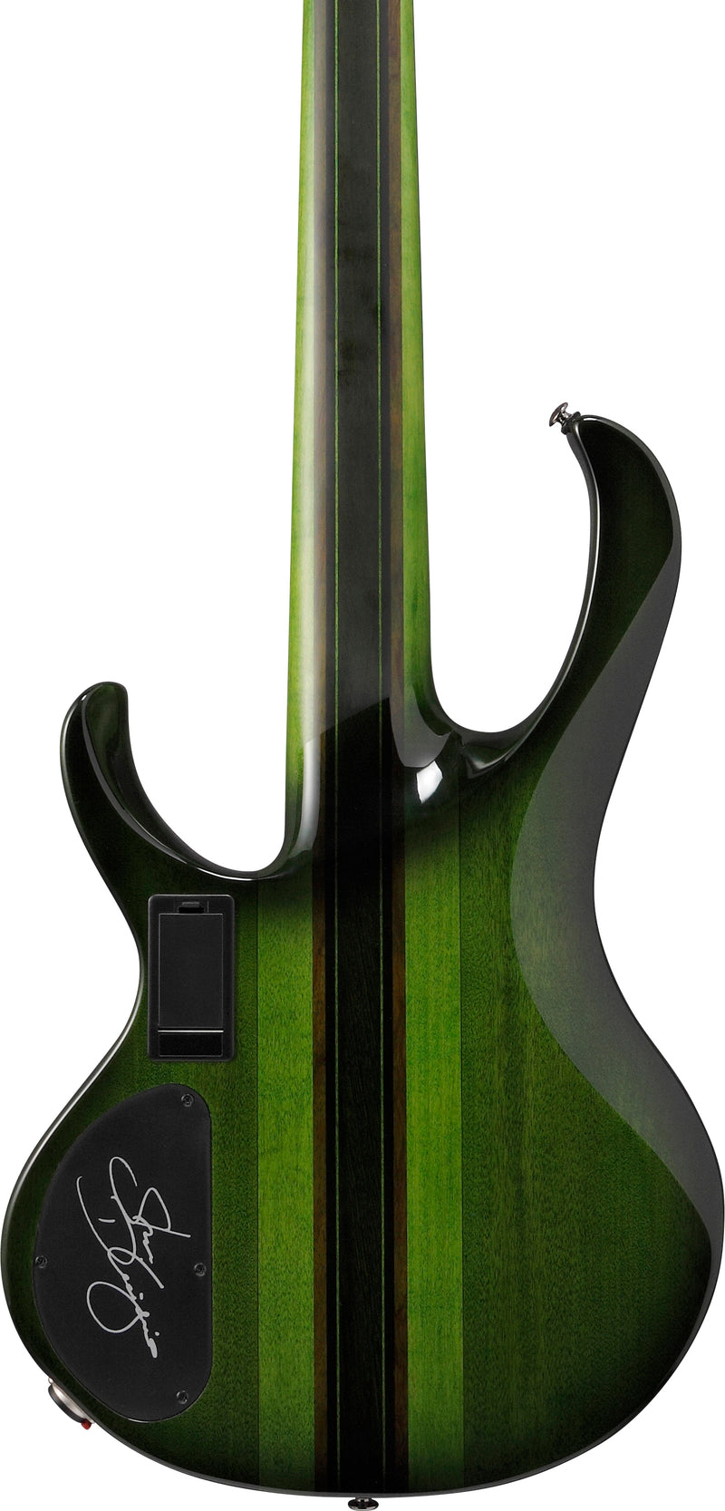 Ibanez SDGB1DMT Steve Di Giorgio Signature 5-String Fretless Electric Bass (Dark Moss Burst)