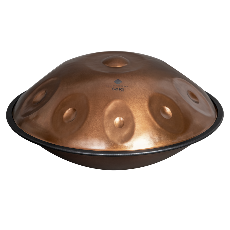 Sela HARMONY Handpan Phoenix Steel D Amara 10