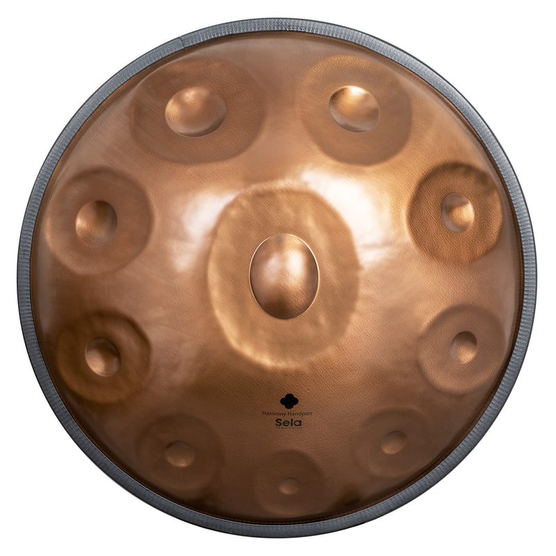 Sela HARMONY Handpan Phoenix Steel D Amara 10