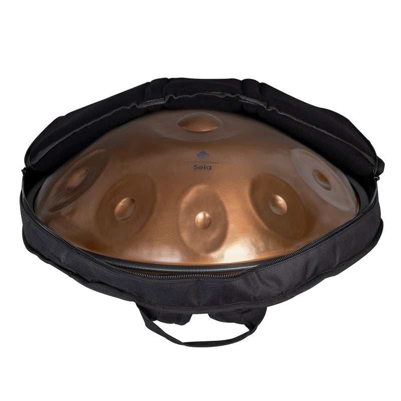 Sela HARMONY Handpan Phoenix Steel D Amara 10