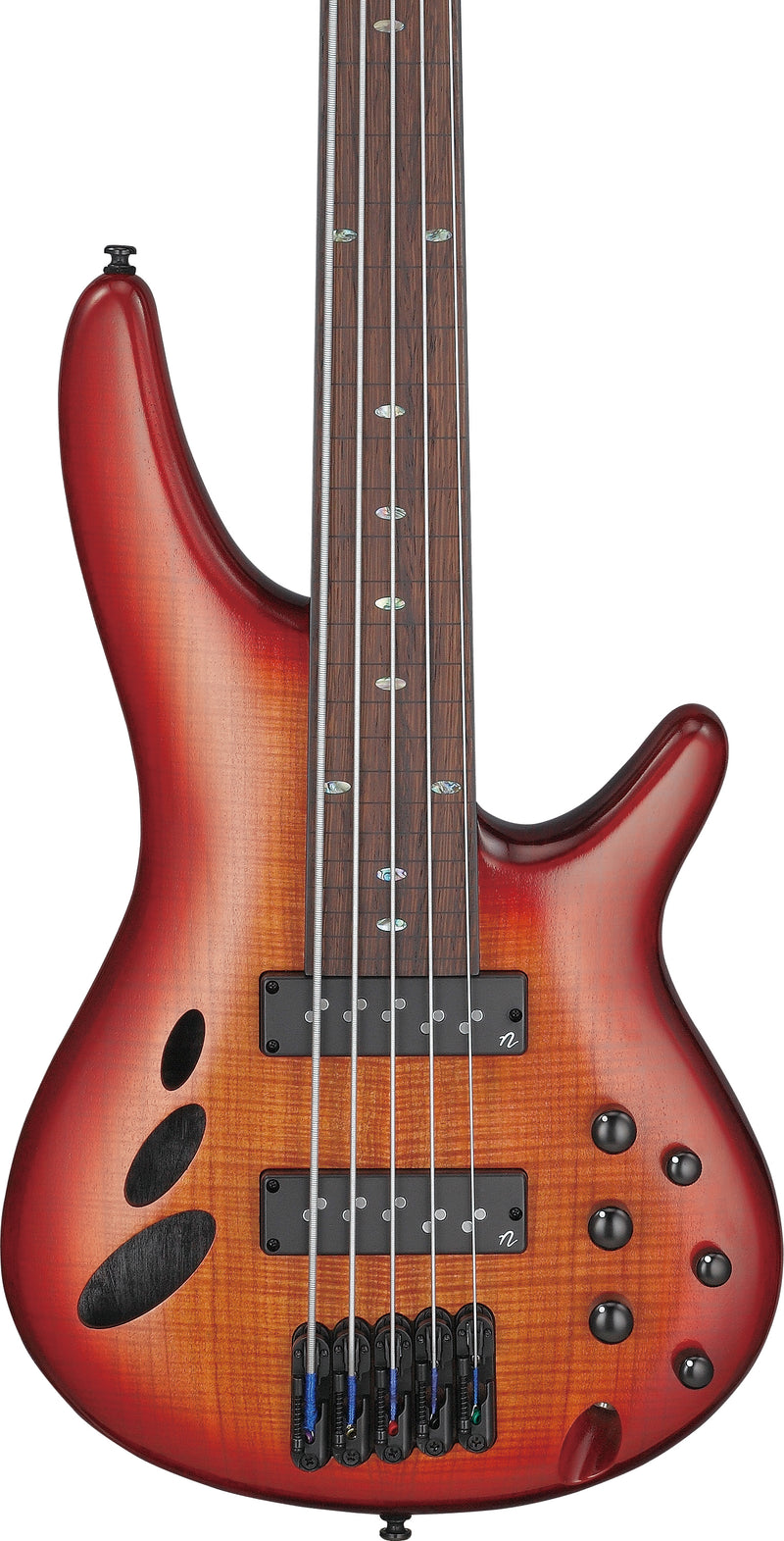 Ibanez SRD905FBTL SR Bass Workshop 5 Strings Fretless Electric Bass (Brown Topaz Burst Low Gloss)
