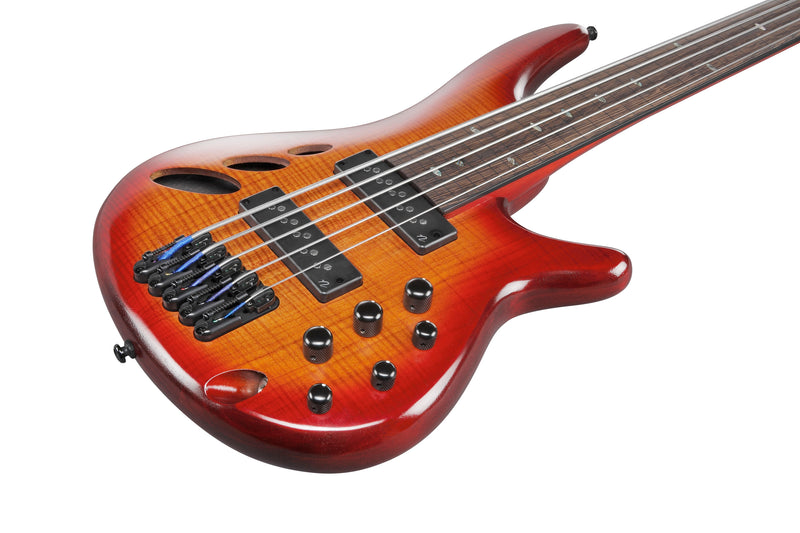 Ibanez SRD905FBTL SR Bass Workshop 5 Strings Fretless Electric Bass (Brown Topaz Burst Low Gloss)