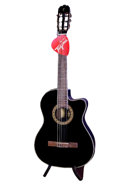 Tagima WS 12 EQ-BK Guitare acoustique classique (noir brillant)