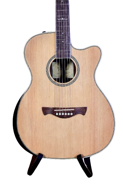Guitare acoustique électrique Tagima WS 35 EQ-NT (naturel)